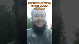 Травим мышей в гараже по-мотоциклетному