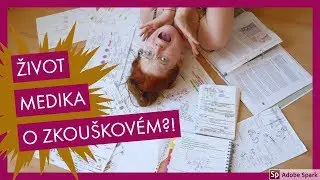 DVA TÝDNY PŘED ZKOUŠKOU - MEDICÍNSKÁ REALITA