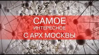 Самое интересное с АРХ Москвы за 6 минут - влог