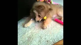 First Video...