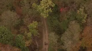 Educational Videos Plus website drone sequence