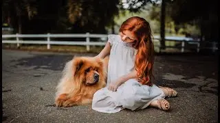 The most beautiful and smartest dogs