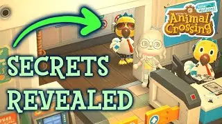 The Side of Animal Crossing You Haven't Seen Yet