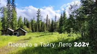 Поездка в тайгу. Лето 2024