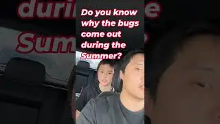 Summertime Bugs #shorts #summertime