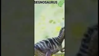 Segnosaure - Un jour, Un dino
