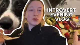 A 26 Year Old Introverted Evening Vlog -  spend an evening with me