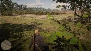 Ethan Doesn't Like Alligators, Again