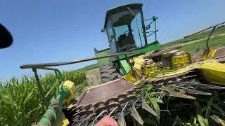 Corn Silage Harvest 2024