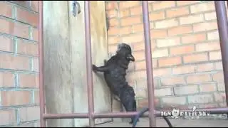 Open The Door
