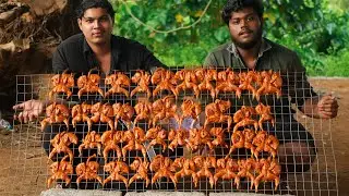 30 Quail Birds Charcoal Grilled | whole Quail Alfaham | Birds Fry |
