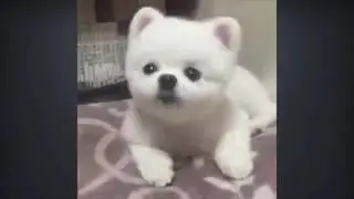 Хочешь спать, спи со мной