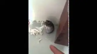 فار يستاهل اوسكار احسن تمثيل مش هتصدق ولا توم كروز