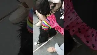 Когда на улице ИЮНЬ...