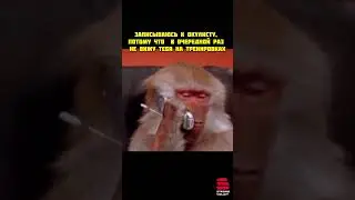 Это я звоню тебе 😀