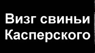 Визг свиньи Касперского