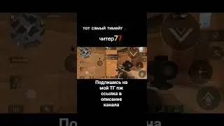 типичные тимы в 