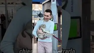 Despite the ban, he brought his cats on board the plane 😳