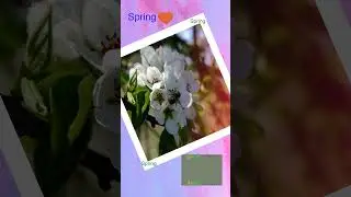 Spring spring so cute