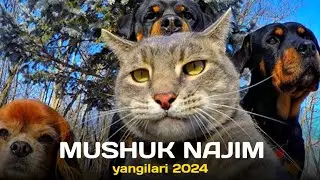 NAJIM MUSHUK DAN YANGI PRIKOLLAR  2024
