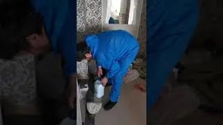 Дезинсекция тараканов и клопов