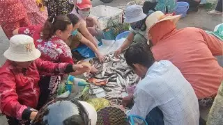 Chuẩn bị mồi câu và cái kết #fishing