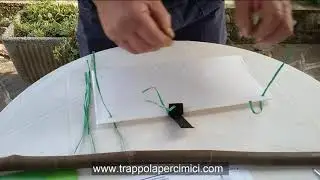 Montare la trappola per cimici in 1 minuto - www.trappolapercimici.com