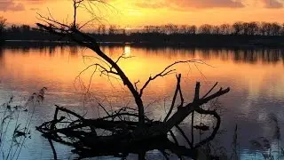 Коряга Турнир МВ База Витим Русская рыбалка 3.7.5