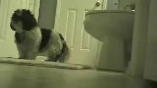 Messin' with our dog Tia
