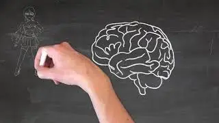 What is cognitive bias