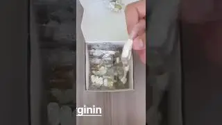 #мужской_комплекс
