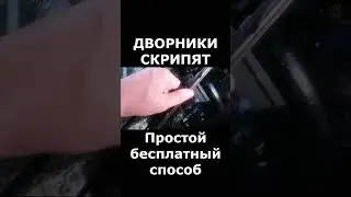 Как за 30 секунд убрать скрип дворников #техсоветы #автосоветы #автохитрости #automobile #diy