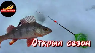 ОТКРЫЛ ЗИМНИЙ СЕЗОН. Рыбалка на окуня зимой.