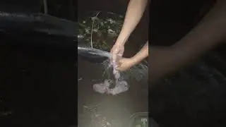 kumakain kaba nito