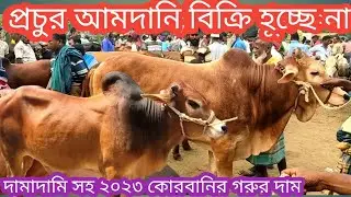 @বৃহস্পতিবার ১১/৫/২০২৩/কোরবানি উপযোগী ষাঁড় গরুর দাম/৮০ হাজার থেকে বিভিন্ন দামের গরু দেখুন/ox price