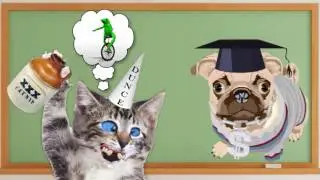 The Proofreading Professor