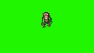 monkey dance 1 in green screen