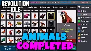 ZOO and ANIMALS GUIDE, DILATION SNEAK PEEK // REVOLUTION IDLE