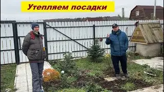УКРЫВАЕМ РОЗЫ//сходили всей семьей в цирк//Прекрасные выходные на даче.