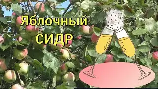 Яблочный сидр