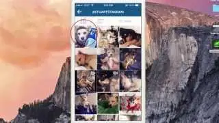 UPDATE Instagram Hashtag Search Changes: How do I use Hashtags?