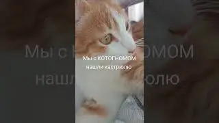 #музыка #гномы #боже #боже #тренд #существа #рыцари #юмор #мем #жиза #прикол