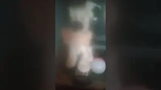 Idéfix