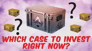 Which Case To Invest At this Point ? | I Scoured The Internet for the best ROI Overtime #csgo
