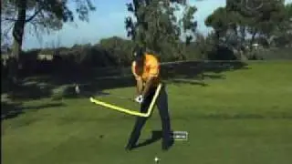 swing vision tiger woods