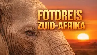 📸 Fotografiereis Zuid-Afrika 🇿🇦 | Big 5 bij Ik Vertrek-lodge (Edwin & Kirsten)