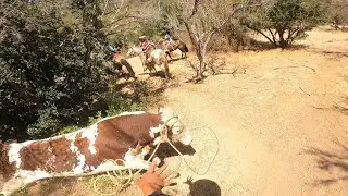 Laceadores de cerro #42