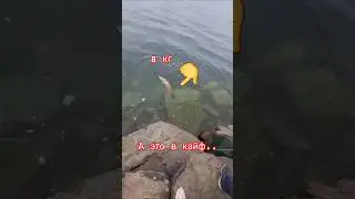 #интересное