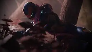 Criterion Forest Scene