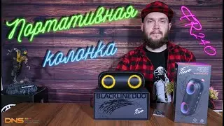 Влагозащищённая портативная колонка Fiero Blackline Duo FR240 с RGB-подсветкой 🔊